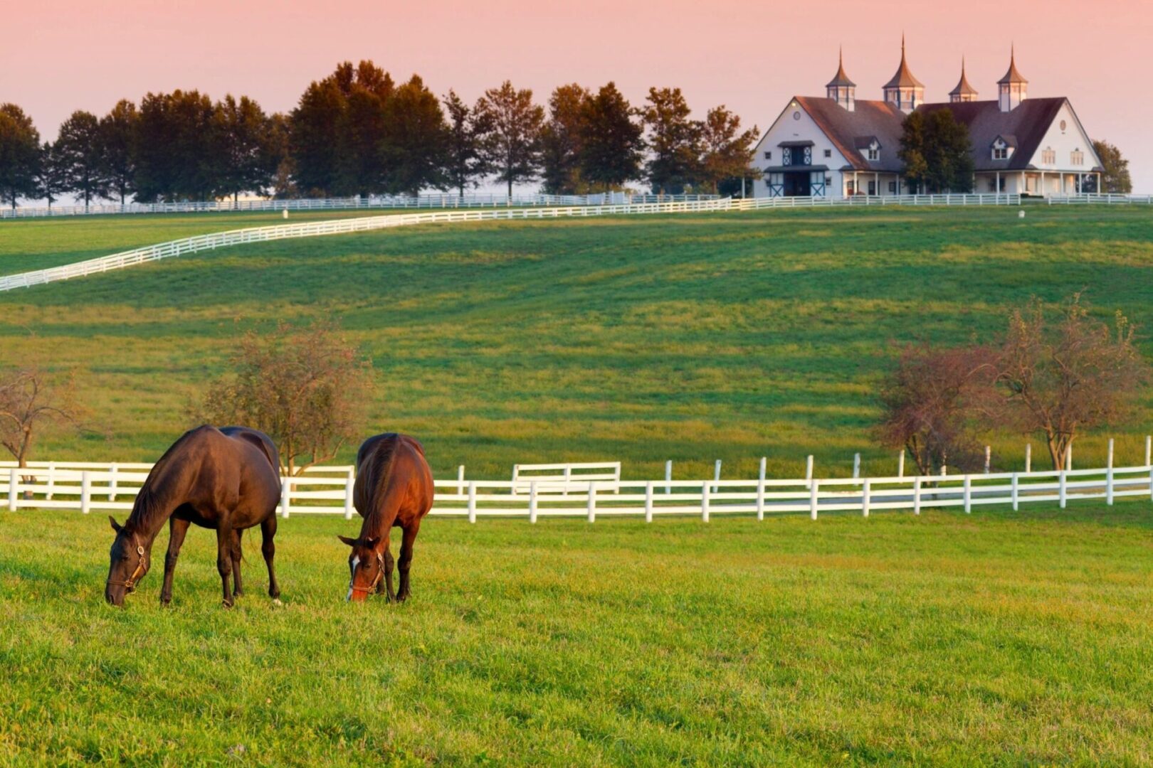 Two horses grazing in a field with a white fence.